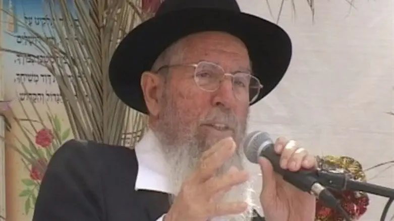 הרב ישראל אריאל