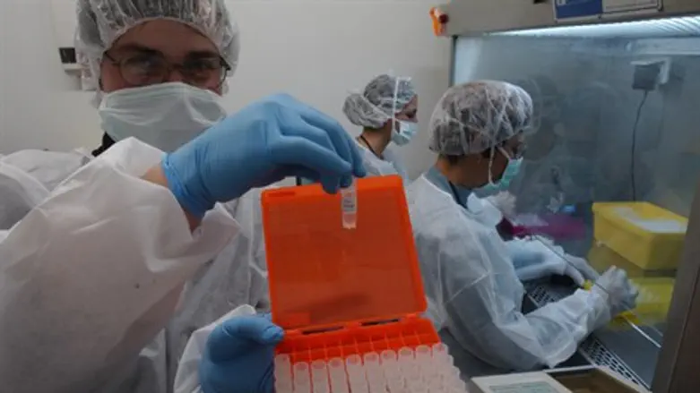 מדענים. אילוסטרציה.