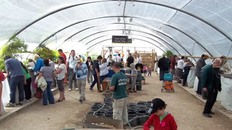 סינון עפר  בעמק צורים