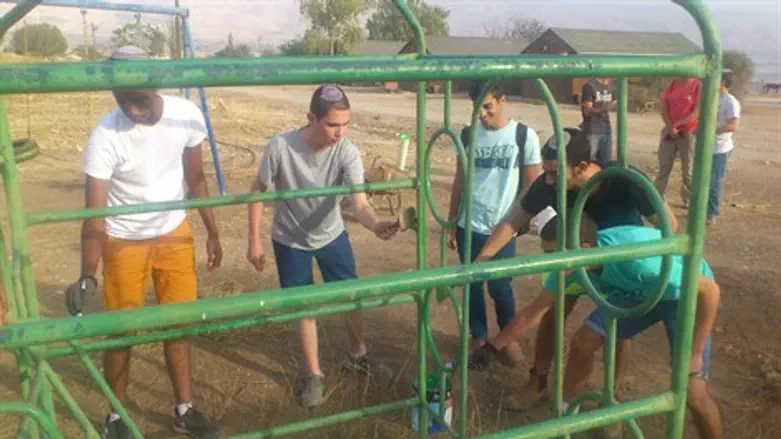 תלמידי אמי"ת משפצים את רוש הבקעה