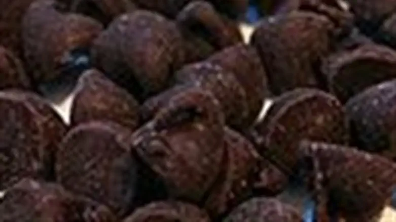 Chocolate Chips