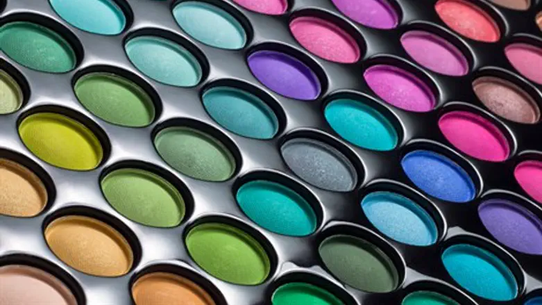 מורפולוגיה