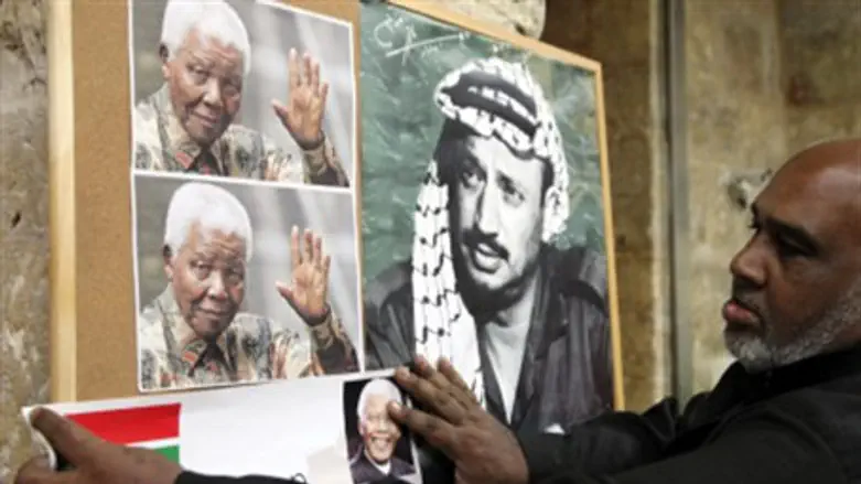 Были ли похожи Ясир Арафат и Нельсон Мандела?