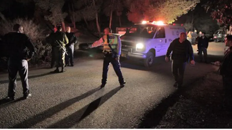 Police search (illustrative)