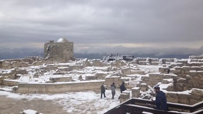 הר גריזים בשלג