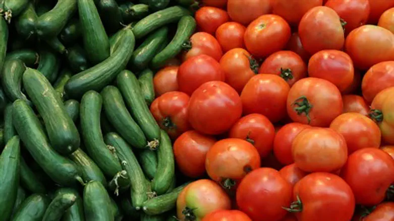 עגבניות מלפפונים ירקות