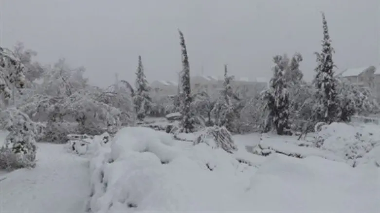 Snow as far as the eye csan see (illustrative