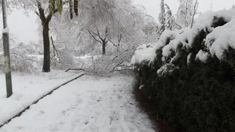 Snow as far as the eye can see (illustrative)