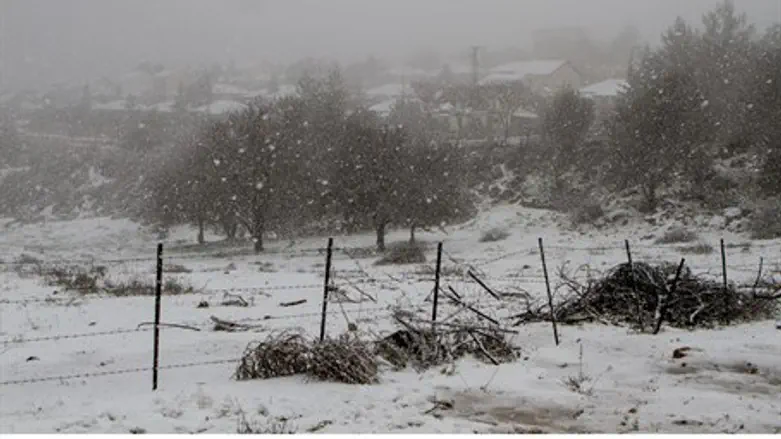 snow in northern Israel