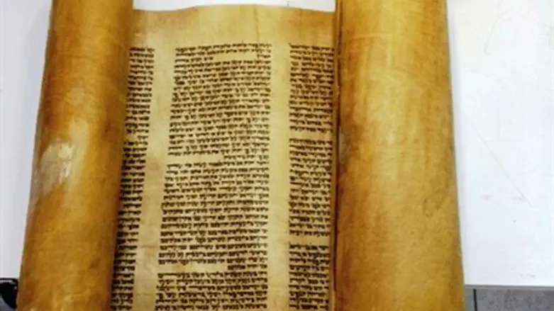 הקלף המשחיר