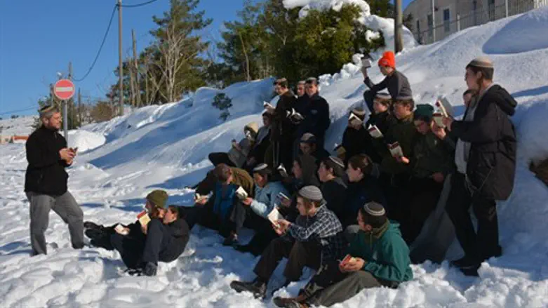 לומדים בשלג
