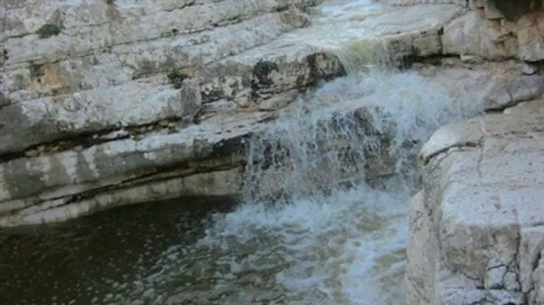 ואדי א-רדידה