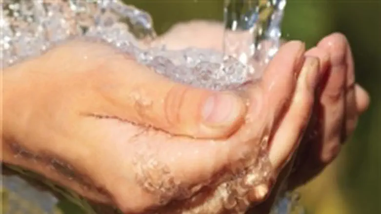 ללכת על החיים