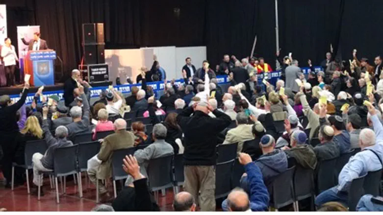 Конференция активистов "Ликуда". Иллюстрация