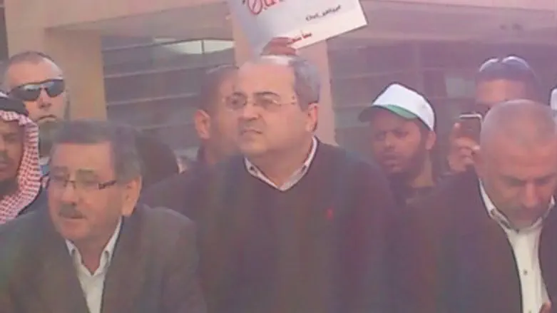 טיבי בהפגנה. היום