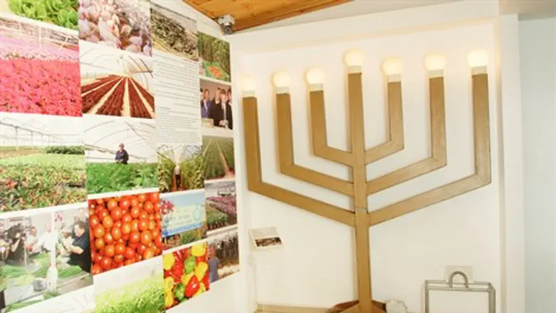 חלק גדול מהאווירה שהייתה בגוש קטיף לא השתנה. מוזיאון גוש קטיף