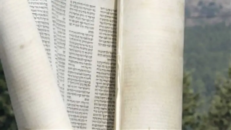 אילוסטרציה