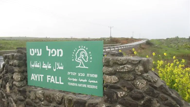 תיירות בישראל