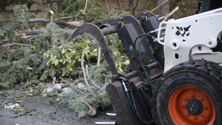 מבצע איסוף הגזם
