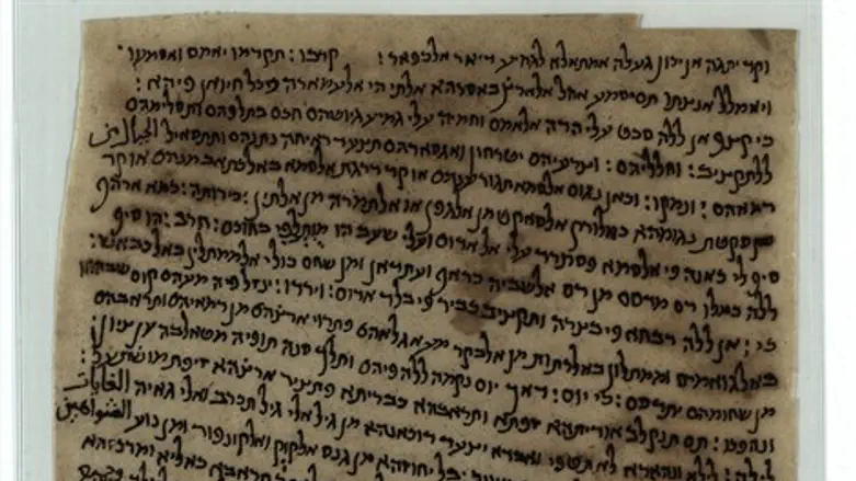 פירוש רבינו סעדיה גאון. מתוך הגניזה האפגאנית