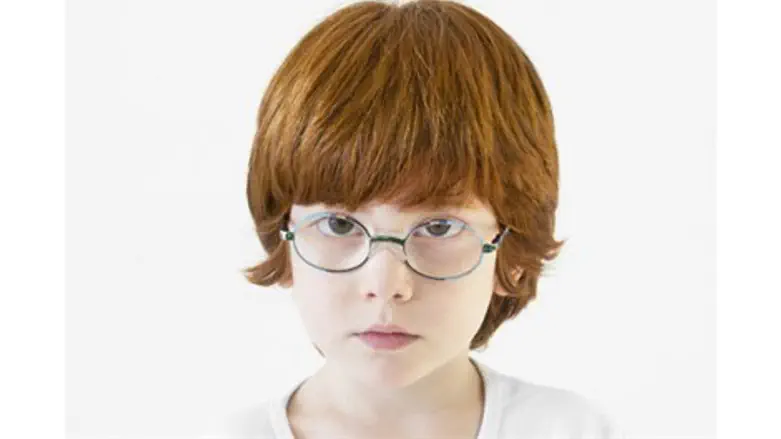 תערוכת הג'ינג'ים