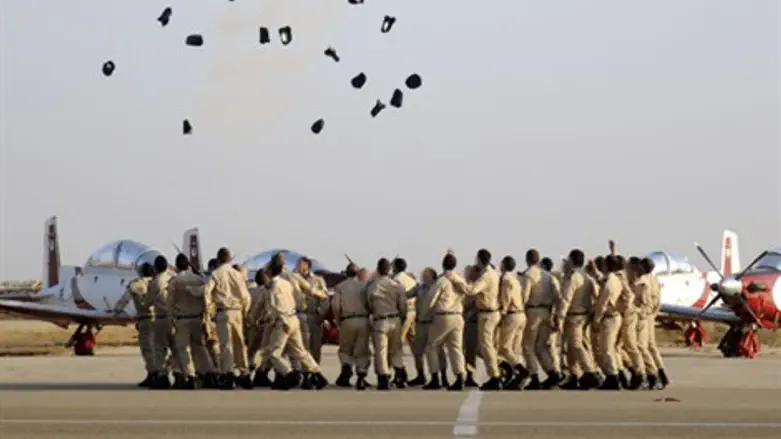 מסדר כנפיים