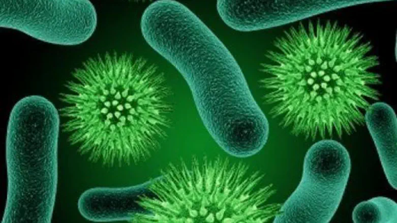 נרדמים ומתעוררים. הדמייה ממוחשבת