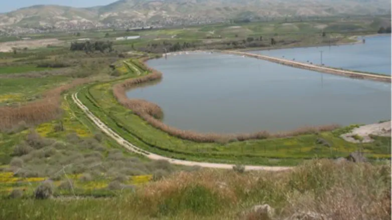 Рыбная ферма. Иллюстрация