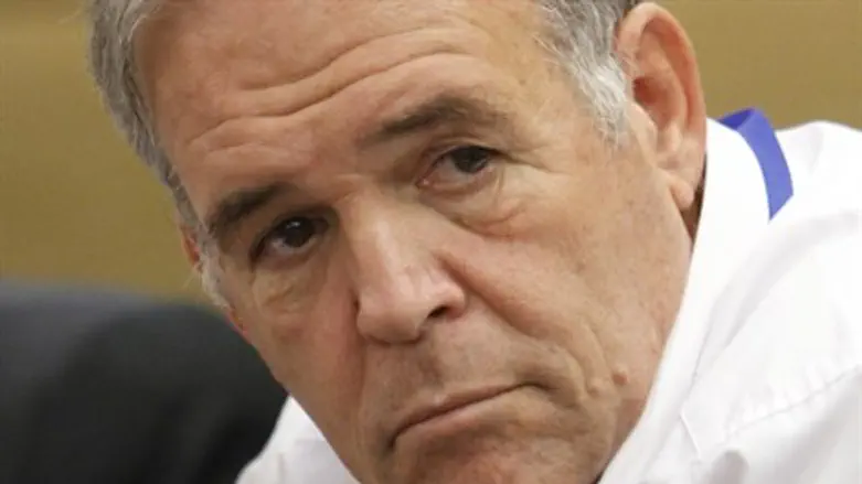 כמעט כל מקצוע מיוצג