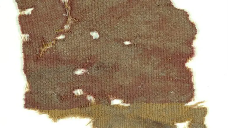 האריגים שנמצאו