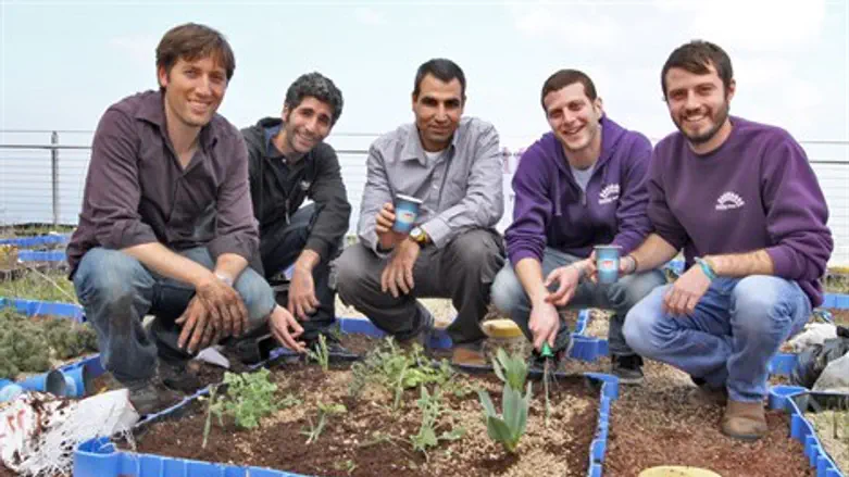 מדשנים ומחכים. ערוגת המחקר