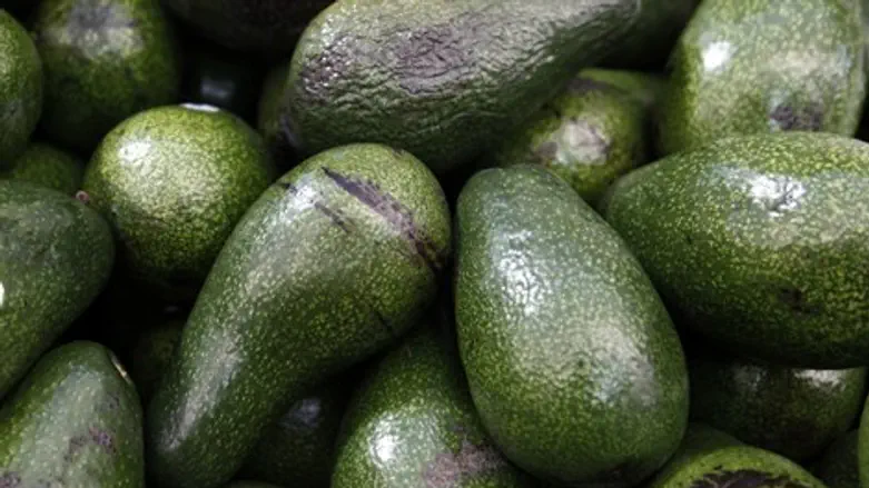 אילוסטרציה