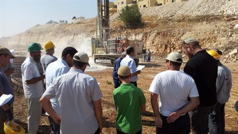 מי חונק את מי? קדומים