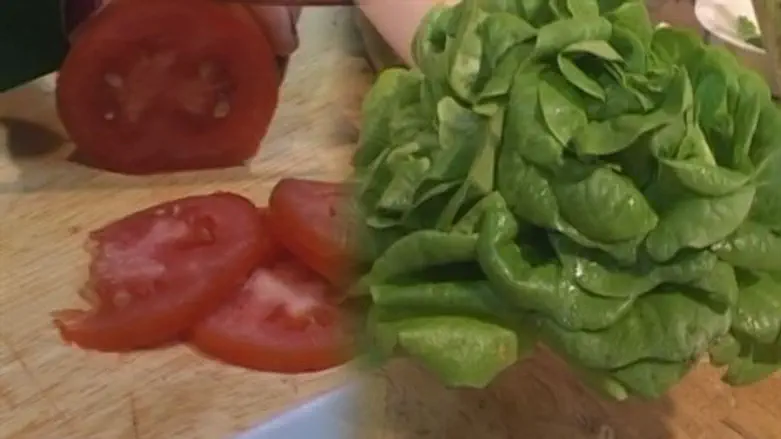 90 אחוזים מהבדיקות תקינות. אילוסטרציה