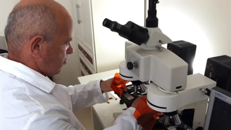 חוקרים ומוצאים פתרונות