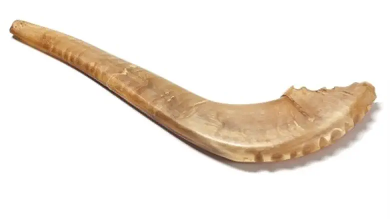 השופר של הבבא סאלי