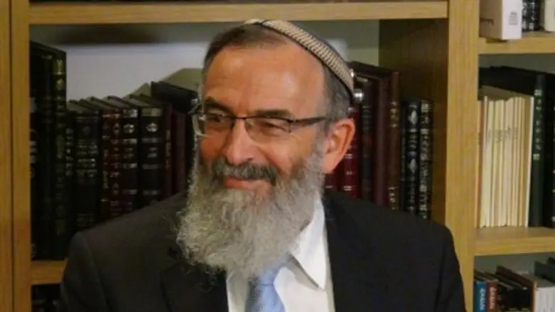 הרב דוד סתיו