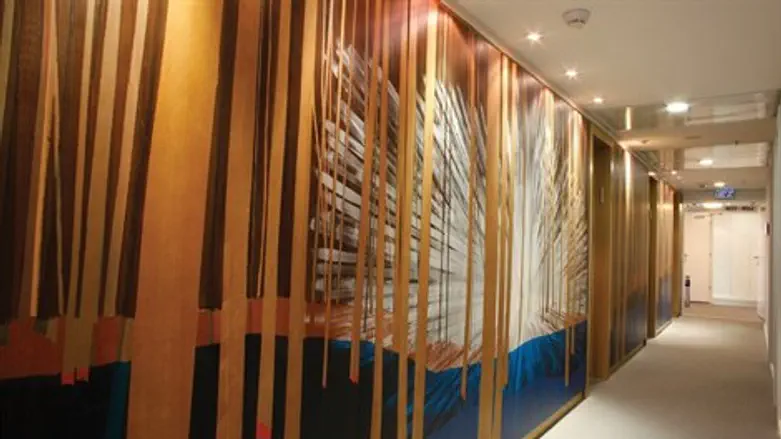 סיורי אמנות