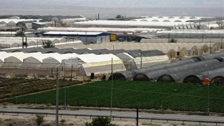 חממות בבקעה