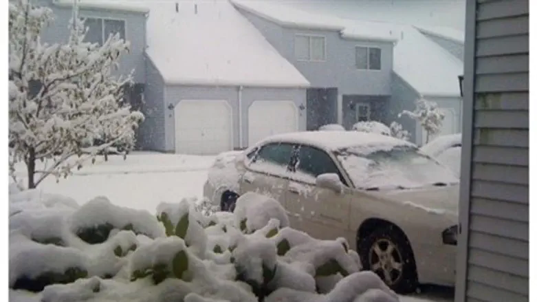 שלג וכפור בארה"ב