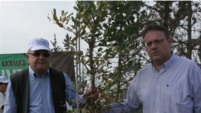 Tree planted in Sharon's memory