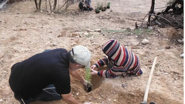 Tree planting for Tu Bishvat