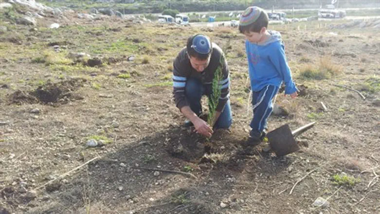 נטיעות ט"ו בשבט ביער קק"ל, מודיעין