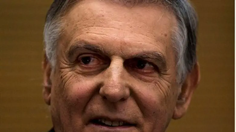 Professor Dan Shechtman