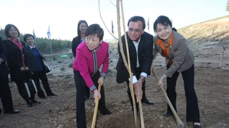 משלחת מסין נוטעת עצים