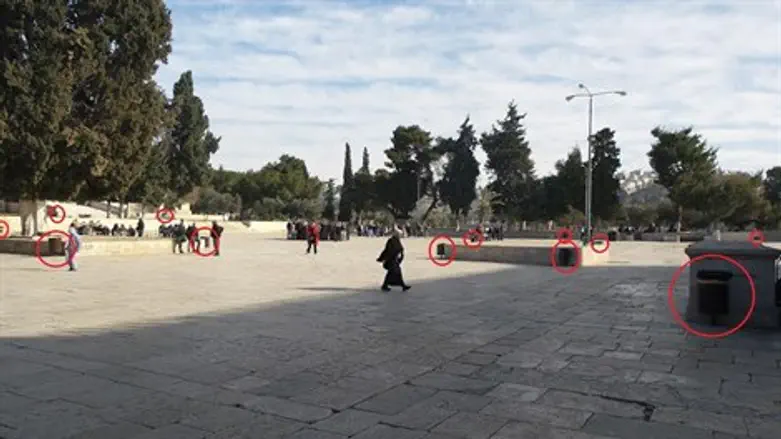 פחים בהר הבית