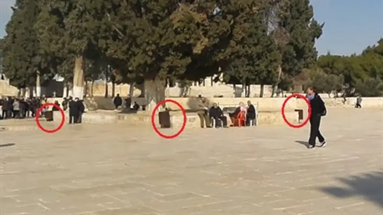 Garbage cans on Mount