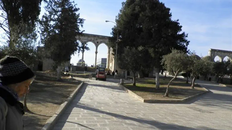 הביקור שבוטל. הר הבית