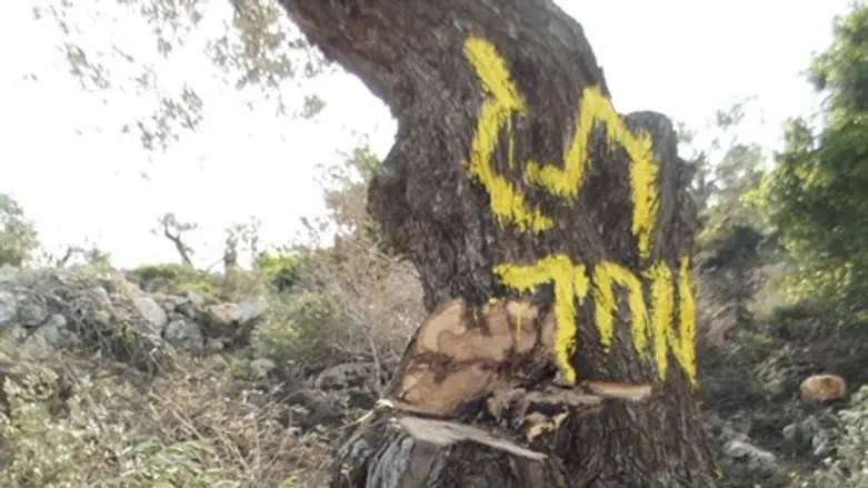 'תג מחיר' מבוים
