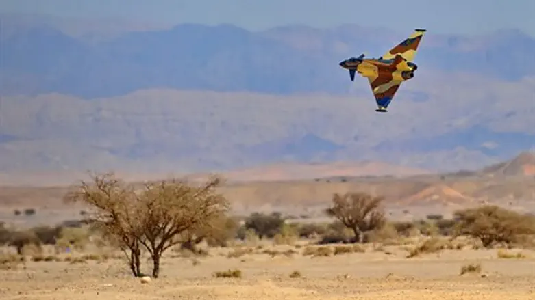 טיסנים בערבה